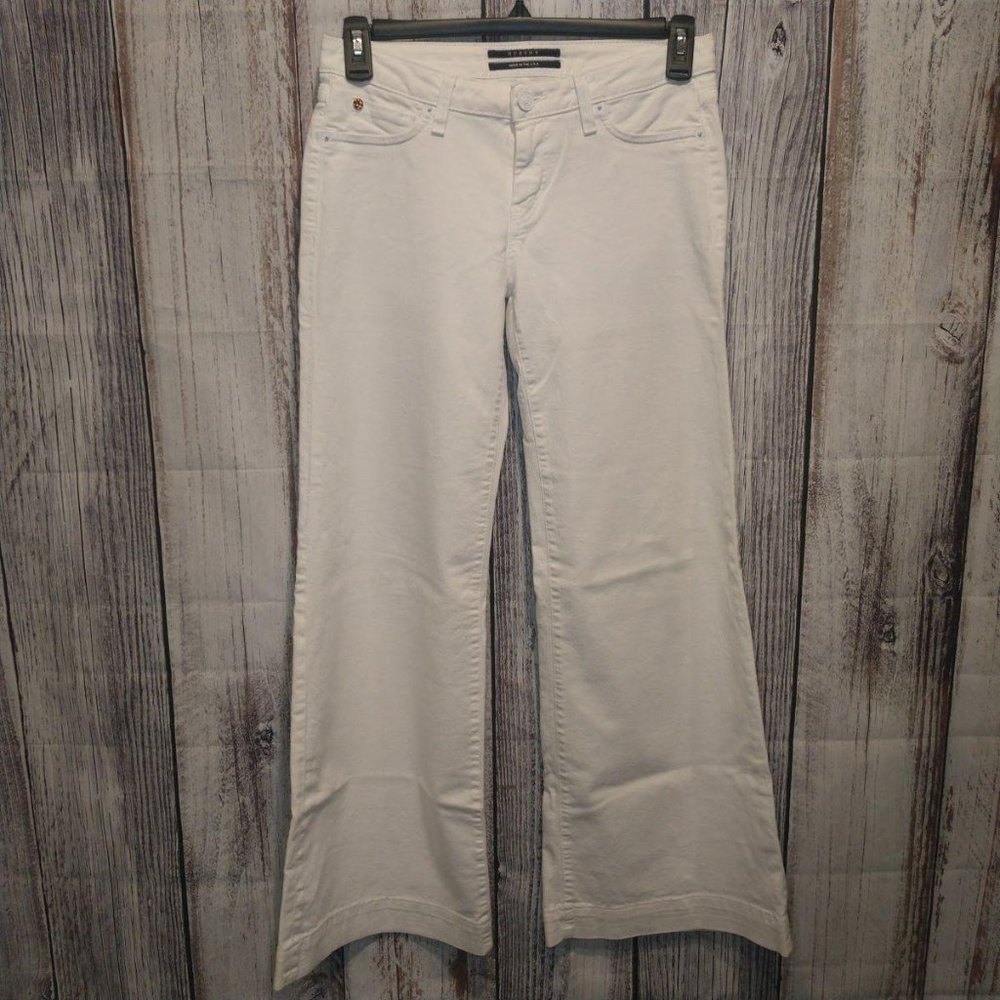 Hudson Gwen Wide Leg jeans